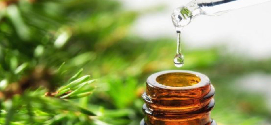 Huile Essentielle de Romarin à Cinéole Bio – Vitalité, Clarté & Respiration Pure | Les Secrets de Houna